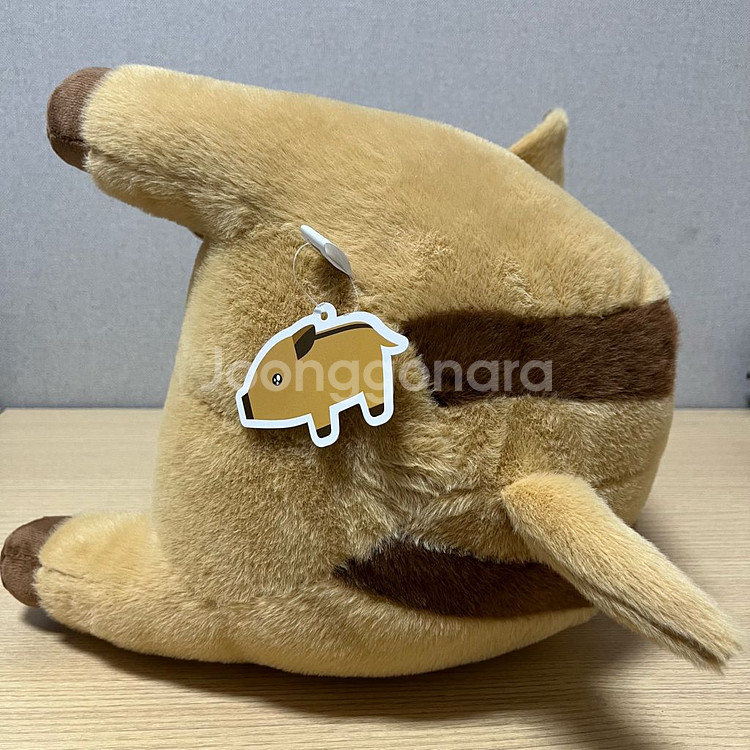 초롱초롱 멧돼지 인형 특대형 50cm--4