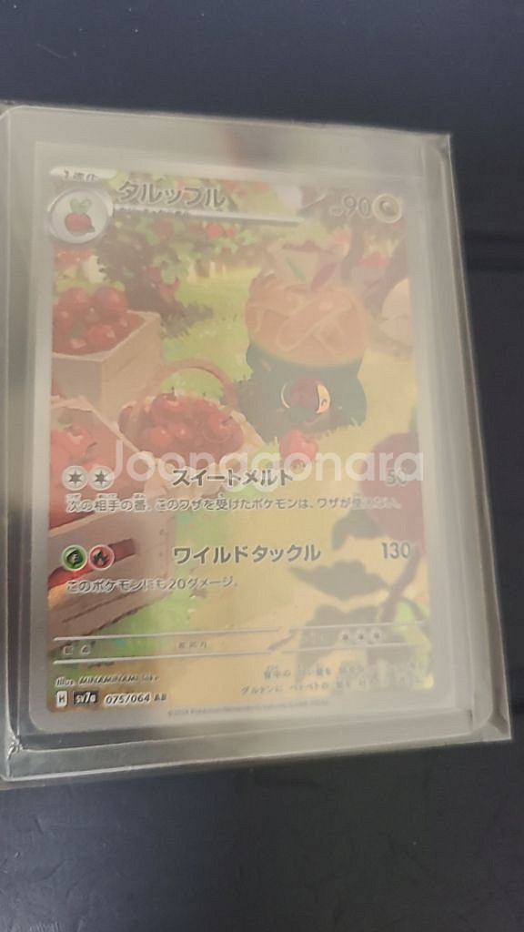 포켓몬 카드 Appletun - 075/064--0
