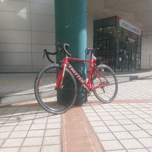 트위터 풀카본 로드 (급처)