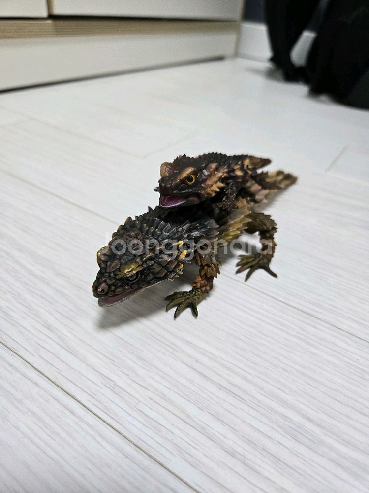 반다이 생물대도감 이것저것--0