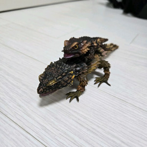 반다이 생물대도감 이것저것