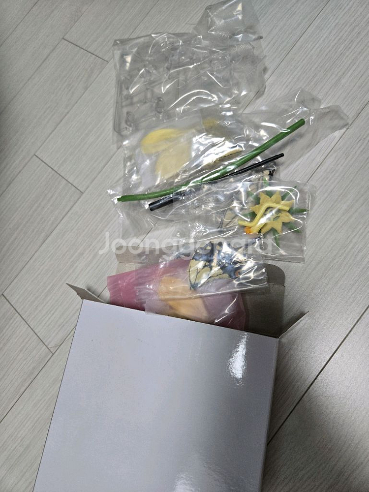 반다이 생물대도감 이것저것--2