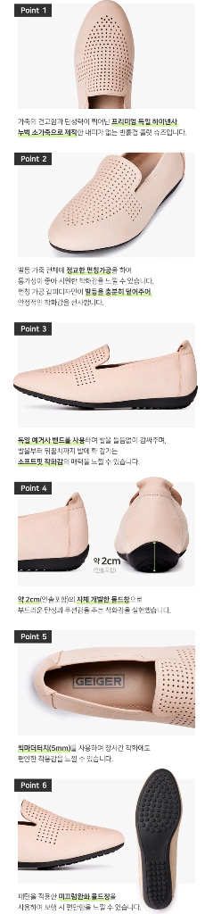 가이거 하이넨 펀칭플랫 255--2