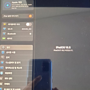 아이패드에어4 64 스카이블루