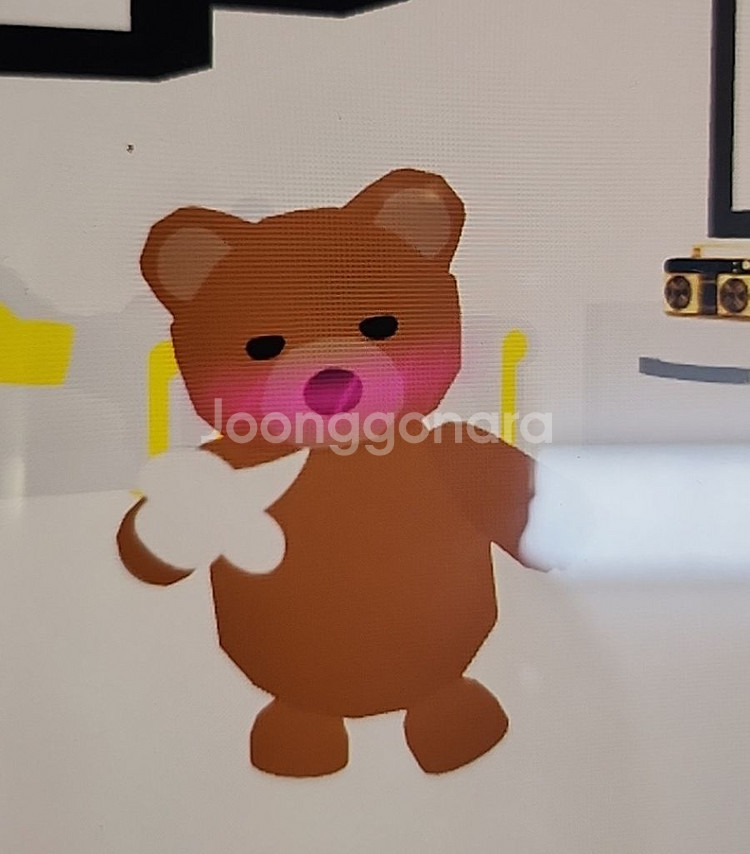 입양하세요 펫 갈색곰--0