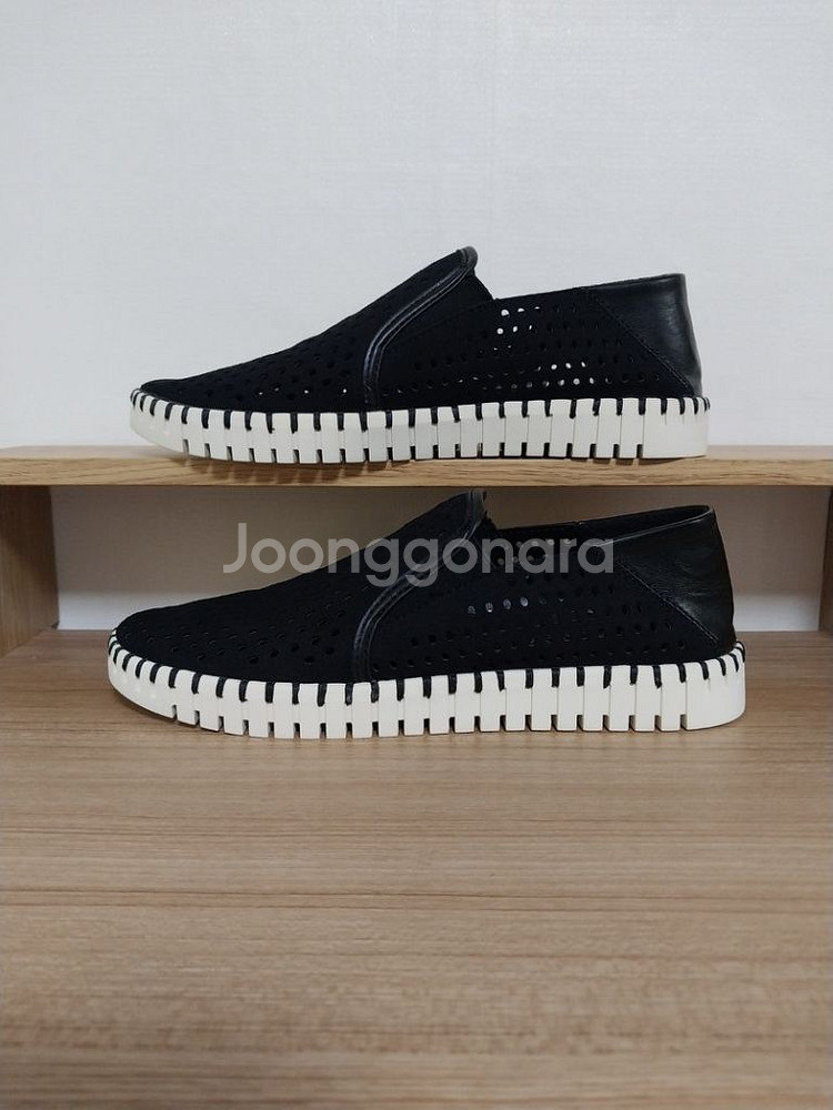 여성 DKNY 펀칭 슬립온 (US 7 / 240)--3