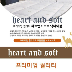 프리미엄 낙타이불사이즈 새상품