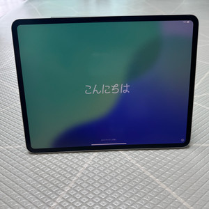 아이패드 프로 13 M4 256GB Wifi