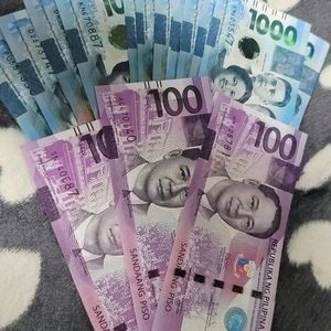 필리핀 페소 (1페소당 25.3원)