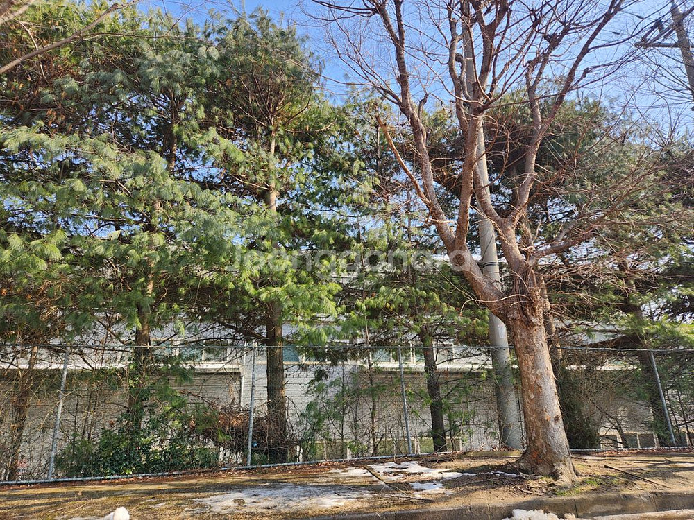 넥슨 현대카드 포인트 구매합니다 (93%)--0