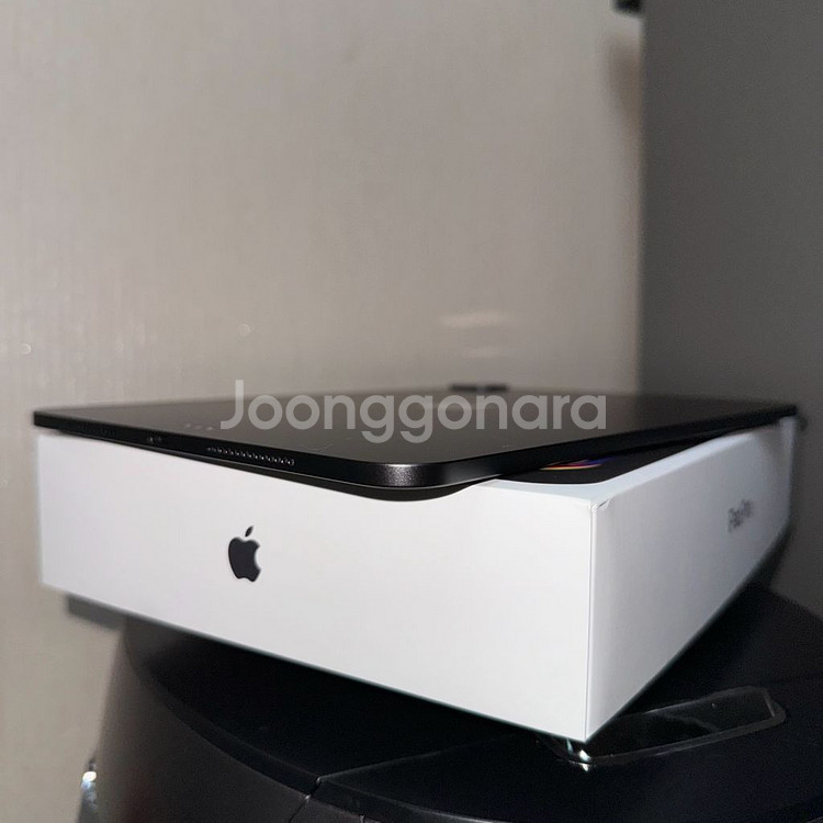 아이패드 프로 m4 11인치 (256GB)--4