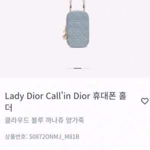 디올 휴대폰백