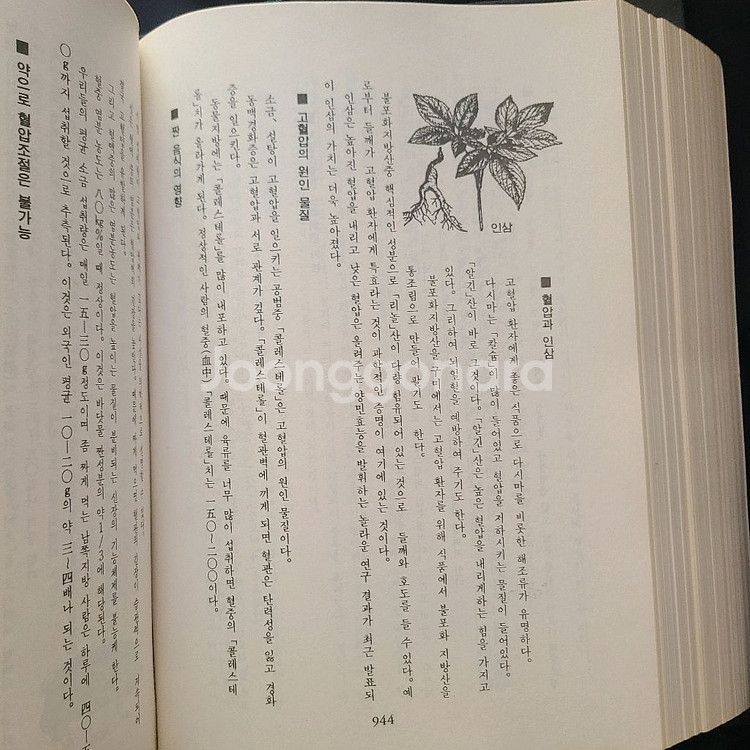 동의보감 (옛날책 고서 헌책 중고 도서 책)--1