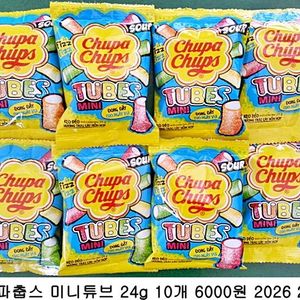 츄파춥스 미니튜브 24g 5개