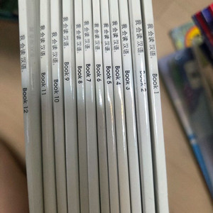 수퍼맘 보카파닉스1 중국어 택포25000