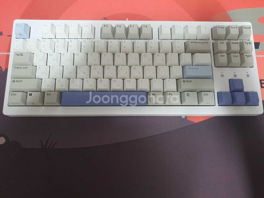 한성매그니톡스TFG XL키보드+Raw he40g--1
