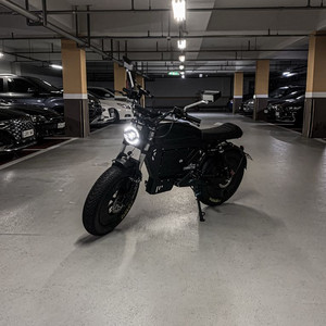동도바이크 S8 PRO 3000W 60V 45A