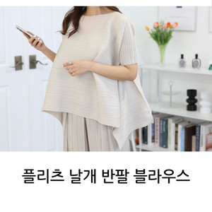 플리츠 반팔 날개 블라우스 제이드몽 이세이 플리츠