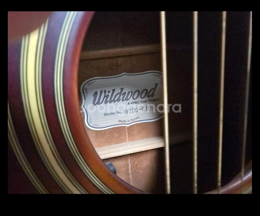 Wildwood W100-CE 어쿠스틱 기타--1