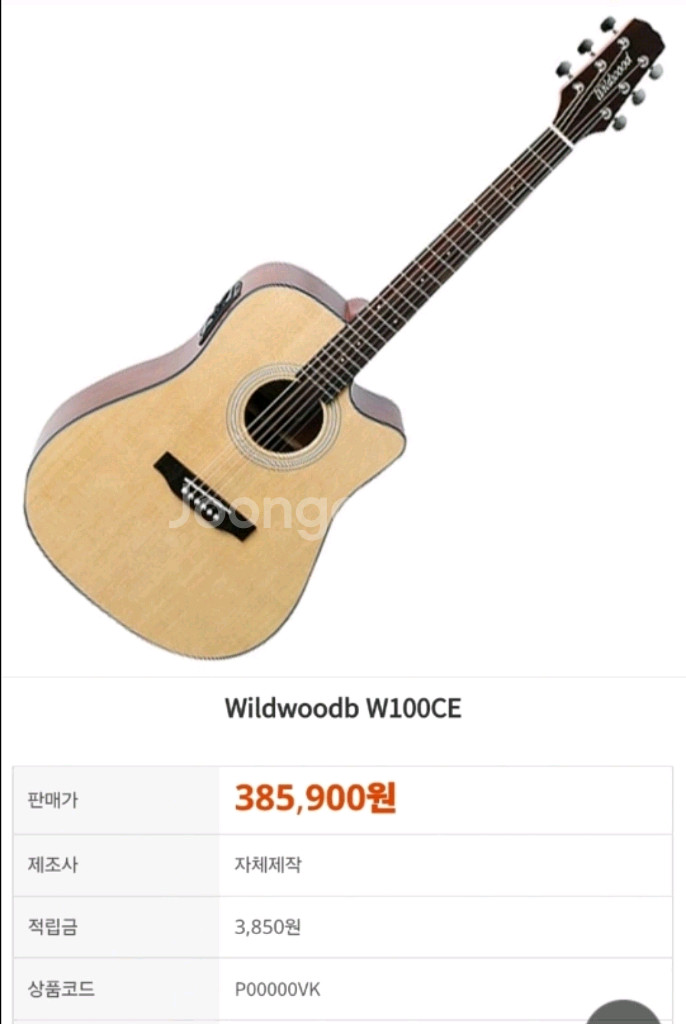 Wildwood W100-CE 어쿠스틱 기타--2