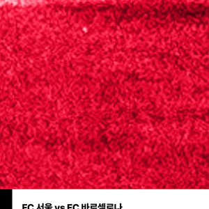 FC서울 vs FC바르셀로나 경기 1등석 B 2매