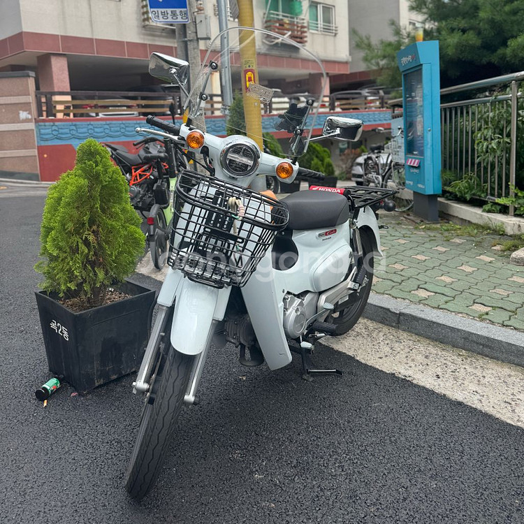 25년식 슈퍼커브 110--0