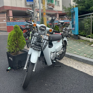 25년식 슈퍼커브 110