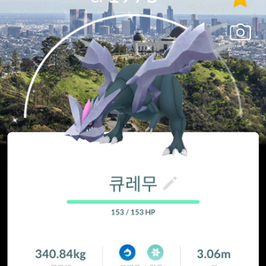 포켓몬고 로케이션 이로치 판매