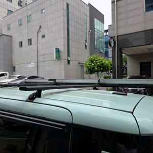 루마카어닝 및 랙키네이터가로바 레이전용 팝니다