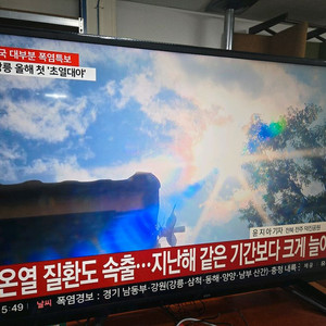 tv UHD 4K 55인치 티비