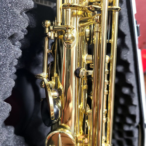 Selmer Axos 알토 색소폰