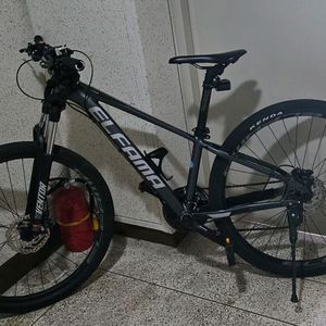 엘파마 벤토르
