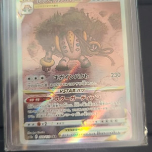 포켓몬 카드 Regigigas 233/172