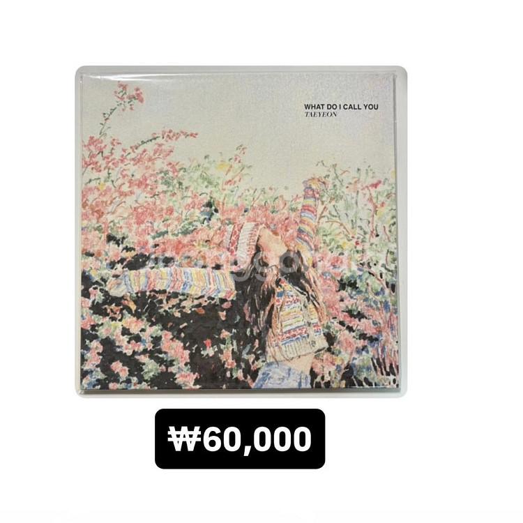 태연 WHAT DO I CALL YOU 개봉 엘피 LP--0