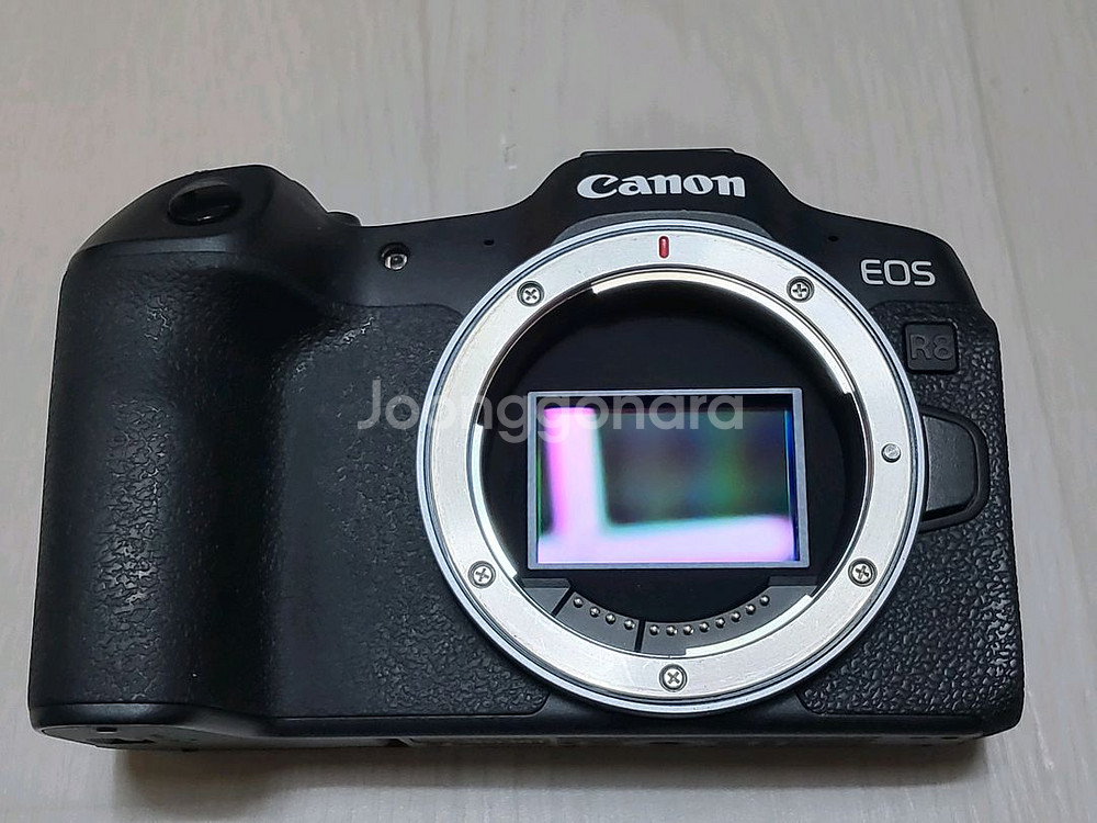 캐논 EOS R8 바디 풀박스--4