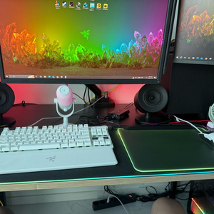 레이저 파이어플라이v2 pro 블랙 팝니다