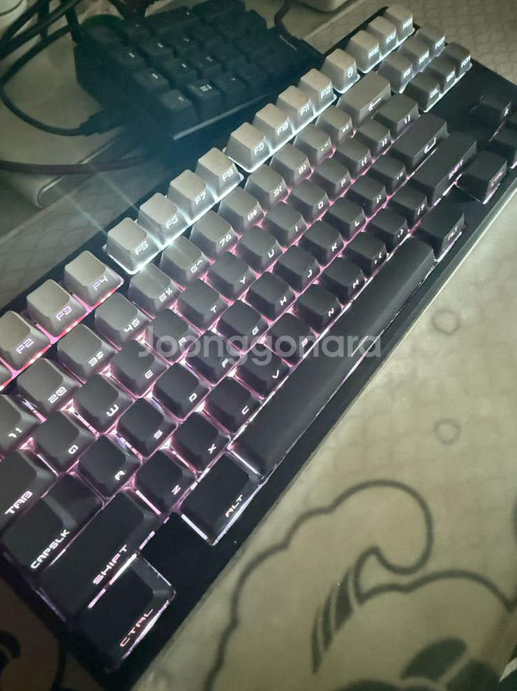 상구리 FROG TKL--0