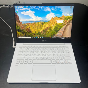 LG 그램 13ZD980 i3-8130 8/128