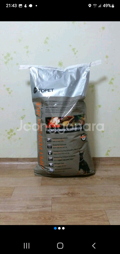 중 대형견사료17kg--0