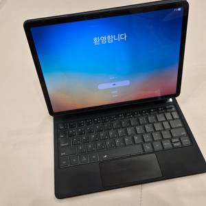 갤럭시 탭 S8 5G + 구조독 판매합니다