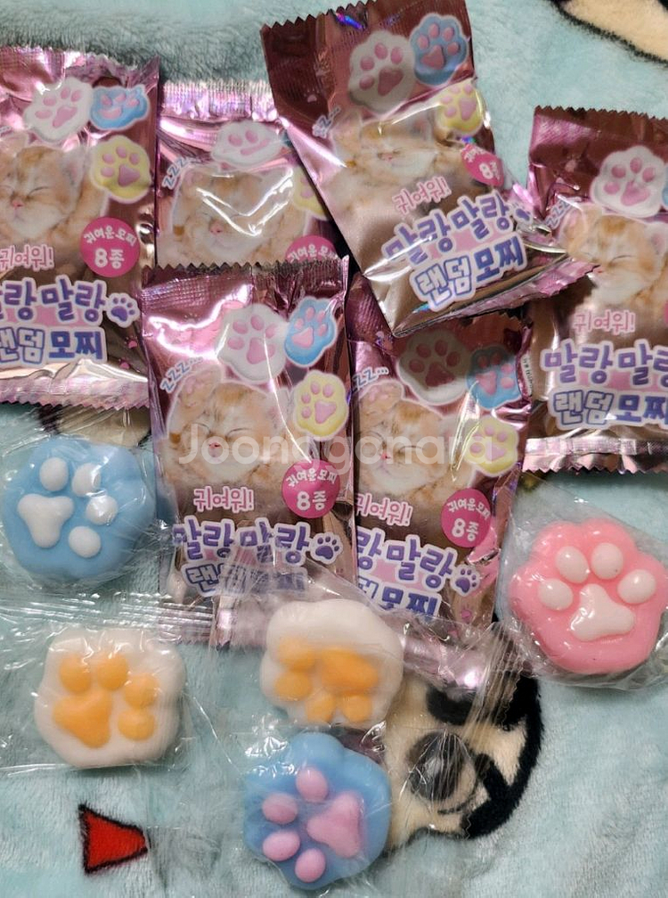 고양이 발바닥 말랑이 스퀴시--0