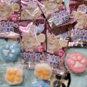 고양이 발바닥 말랑이 스퀴시