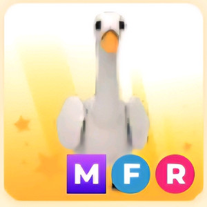 입양하세요 MFR 백조 (메백조)