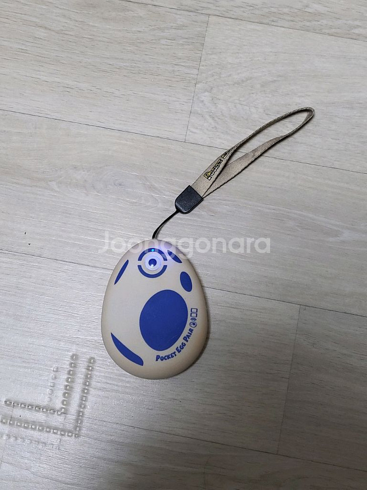 포켓몬고 포고플 포켓 에그 페어 2P--0