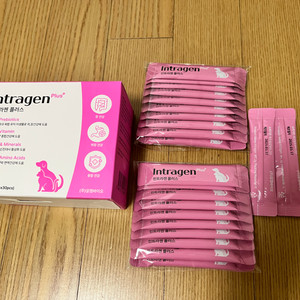 인트라젠 플러스 반려동물 유산균