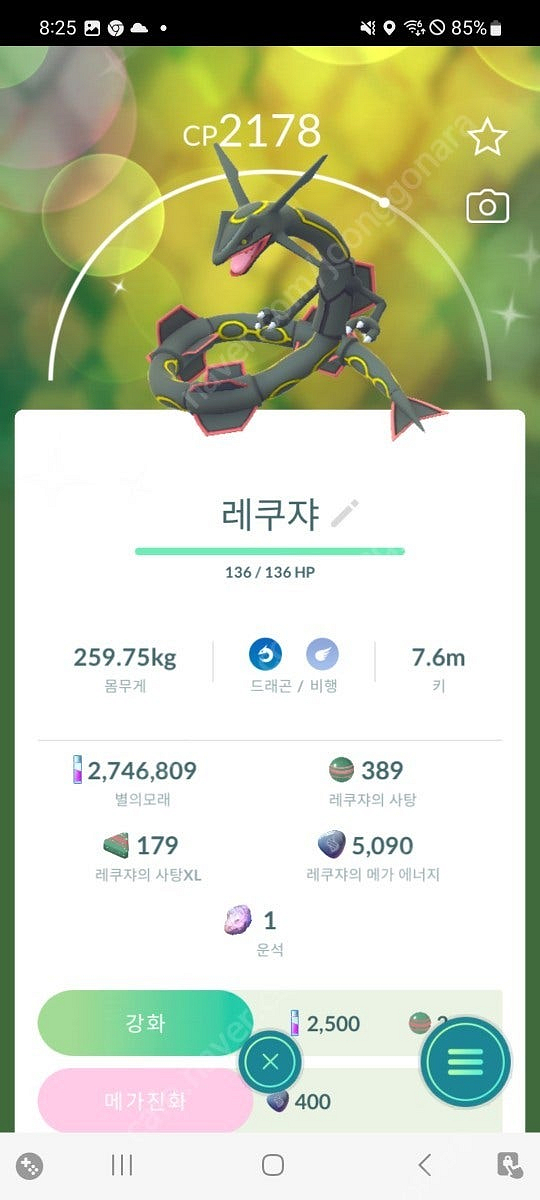 포켓몬고 아머드뮤츠(반짝이)--2