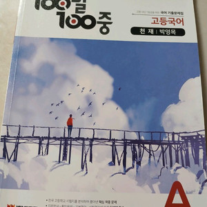 백발백중 고등국어 -천재 박영목