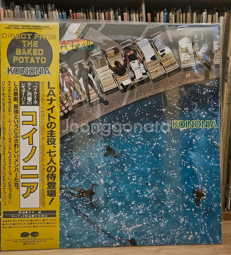 재즈 LP 10장 일괄--7