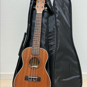 영찬 우쿨렐레