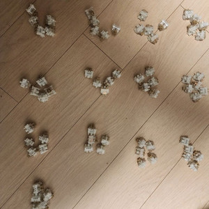 하이무 바다살구